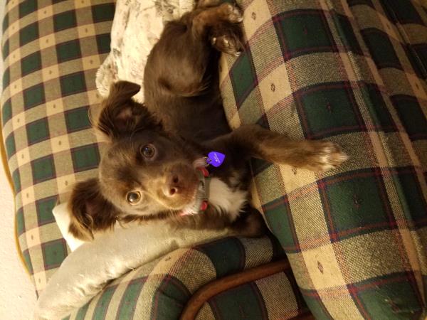 /Images/uploads/Humane Society of Utah/HSUCalendar/entries/1030thumb.jpg